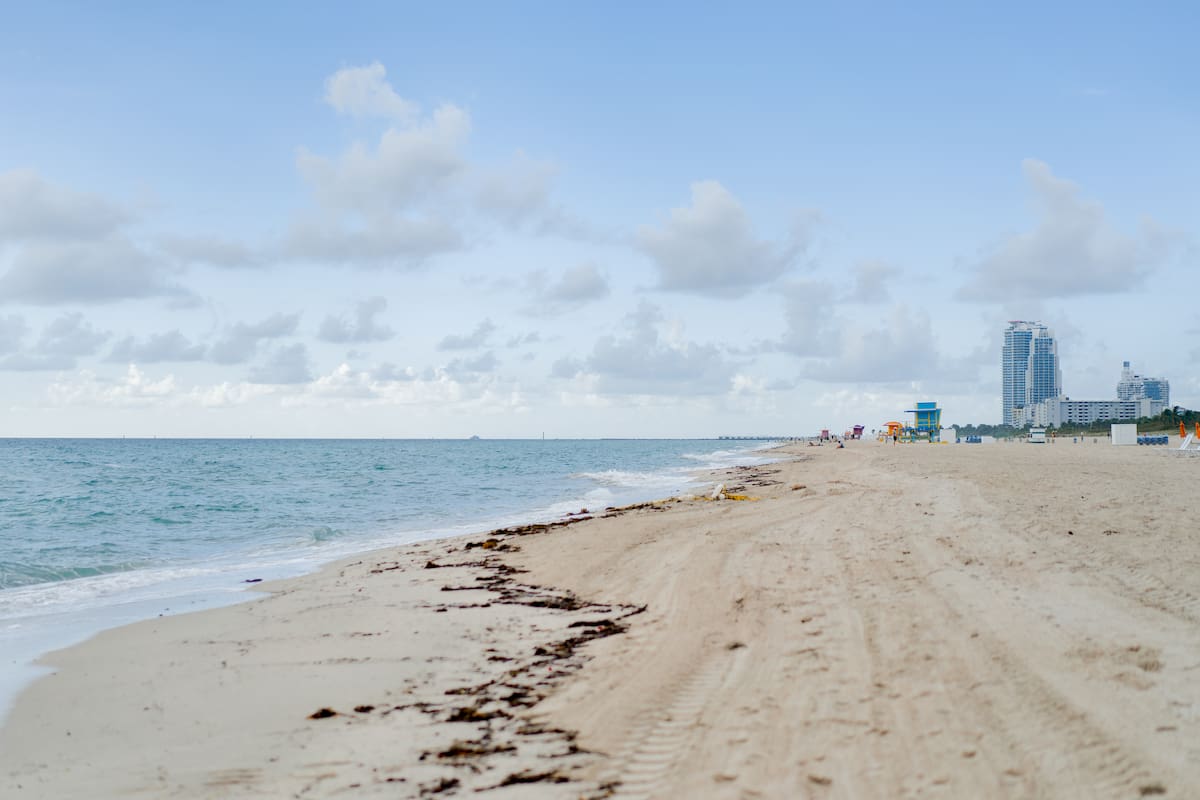 Los reportes epidemiológicos concentran los fallecimientos en los estados de Luisiana y Florida, regiones pertenecientes a la cuenca del Golfo de México.