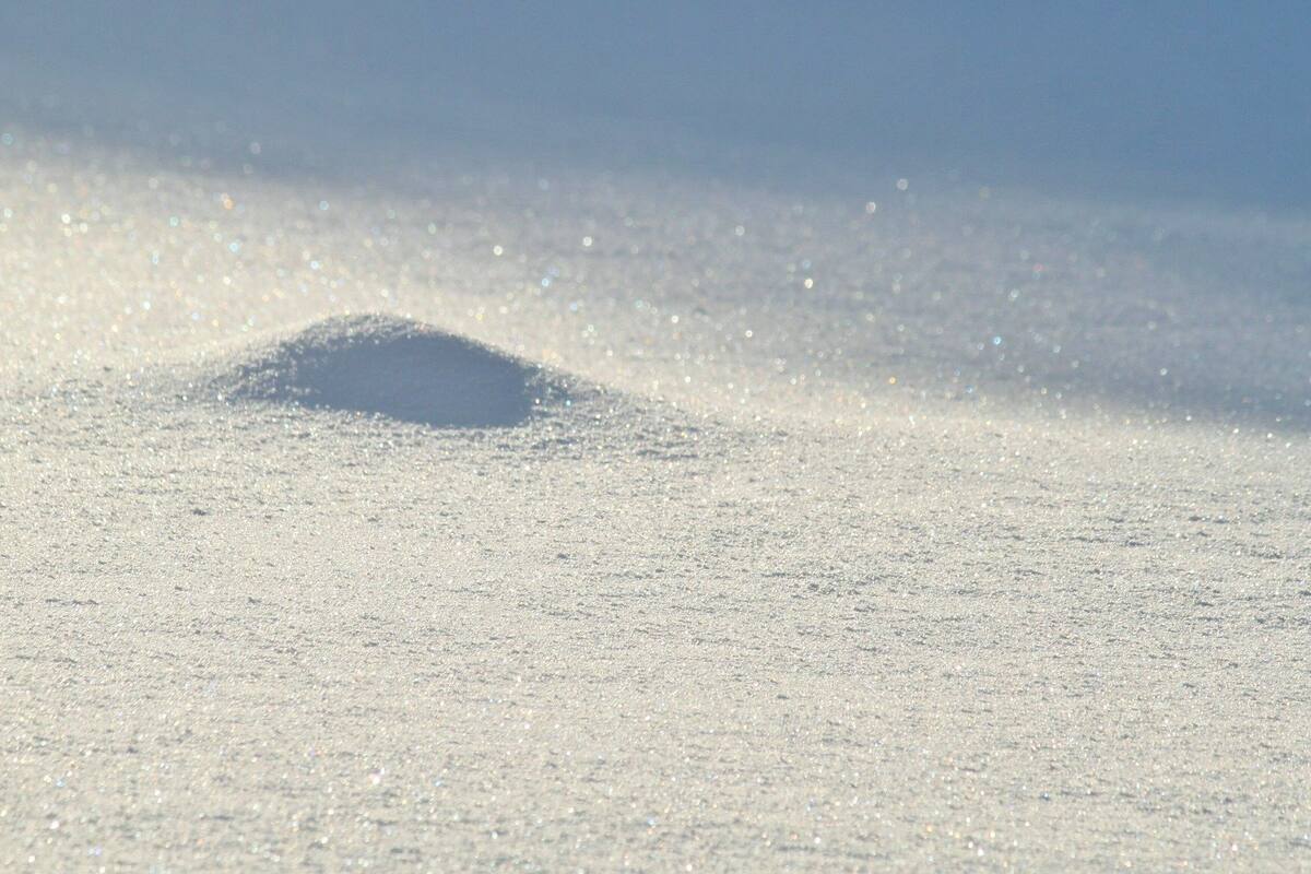 Crean laberinto de nieve más grande del mundo en Canadá