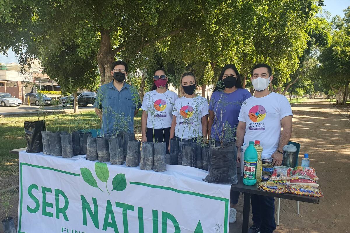 Realizan canje de árboles por alimentos, en apoyo al poblado Miguel Alemán