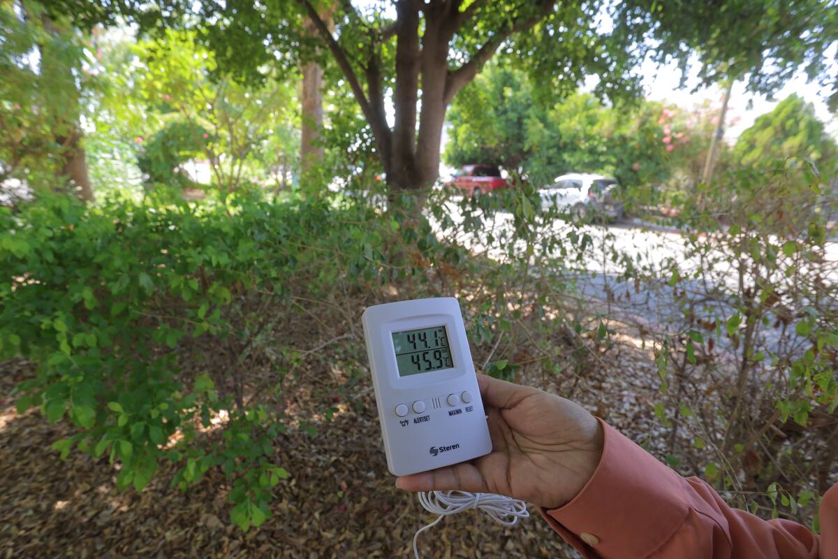 Climahillo difunde sus temperaturas máximas para Hermosillo, difieren de las de la Conagua