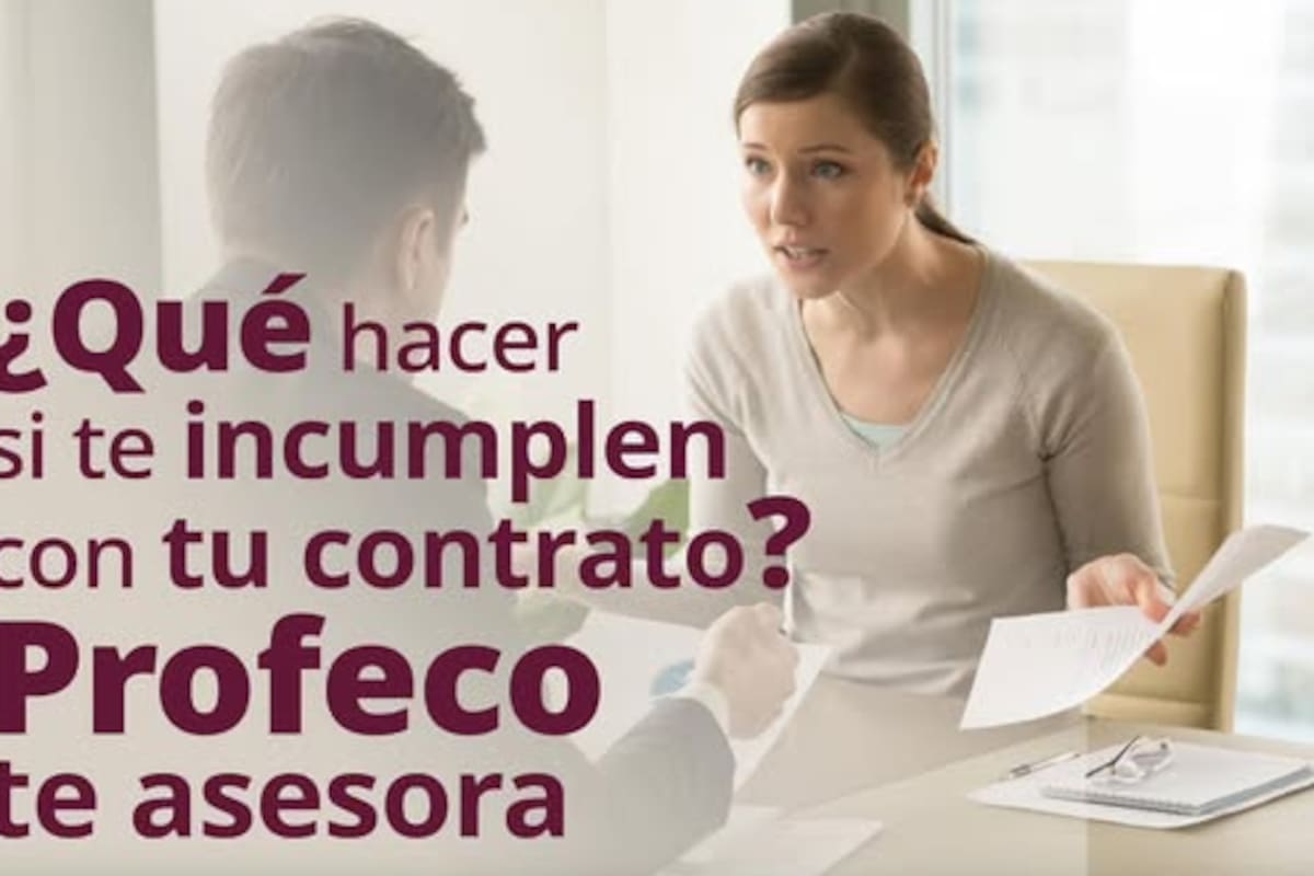 ¿Te estafaron con un contrato? Profeco te dice cómo defenderte