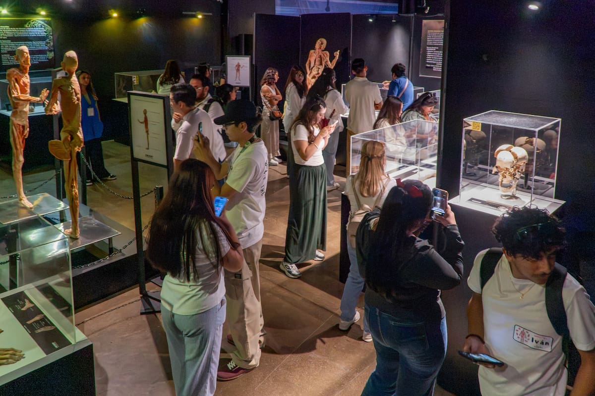 Alumnos de Fisioterapia, Psicología, Criminalística, Cosmetología e Imagen y Educación participaron en recorridos por la exposición del Caracol Museo de Ciencias. Foto: Cortesía