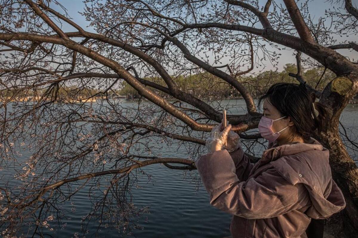 Quinto día con menos de 10 muertes por coronavirus COVID-19 en China