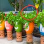 Expertos en jardinería explican cómo reutilizar una botella de plástico para regar las plantas en macetas lentamente y evitar que el exceso de humedad dañe las raíces