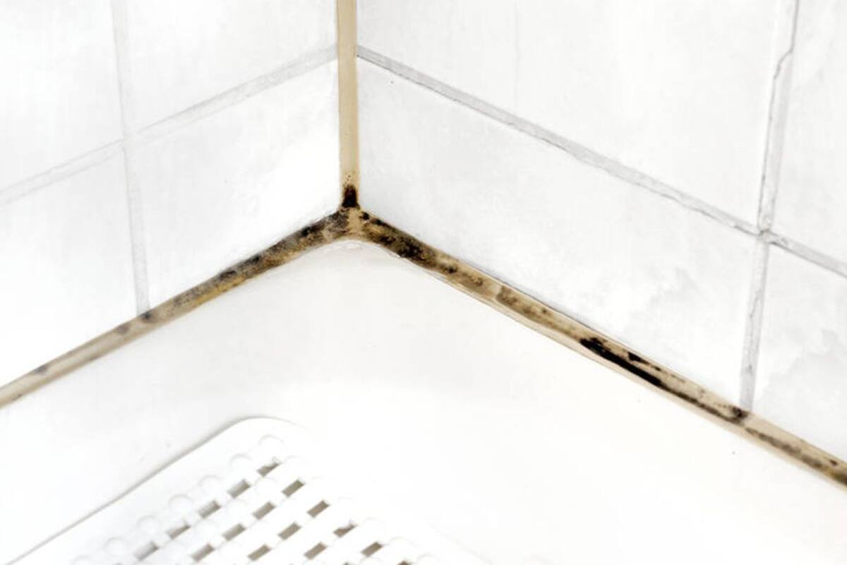 Así puedes eliminar el hongo de tu baño de forma efectiva