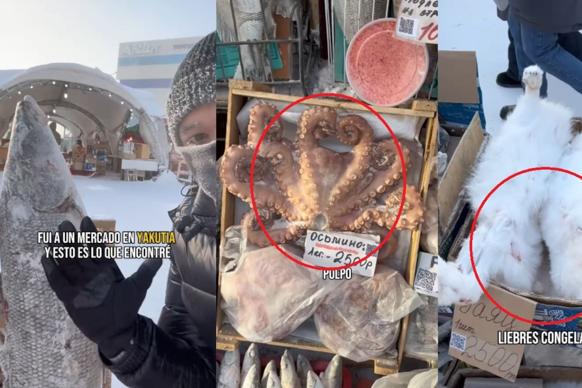 Conejos, pulpos y carne congelada: joven revela las curiosidades de un mercado al aire libre en Rusia