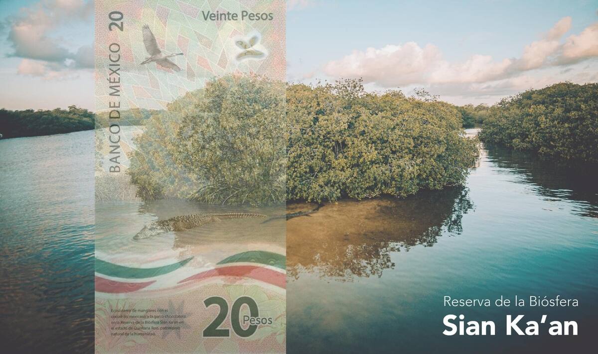 En el reverso, se muestra la Reserva de la Biósfera Sian Ka’an, ubicada en el estado de Quintana Roo I Foto: Facebook