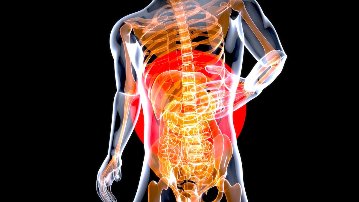 El estómago cambia de tamaño varias veces al día según si está vacío o lleno, llegando a expandirse hasta cuatro litros tras una comida abundante./Foto: Canva