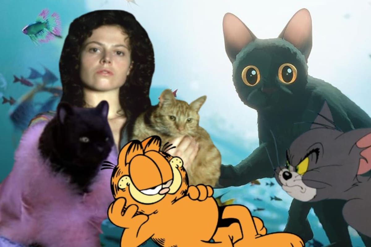 Felinos fantásticos en la ficción: te presentamos una lista con los gatos más queridos del cine y la televisión