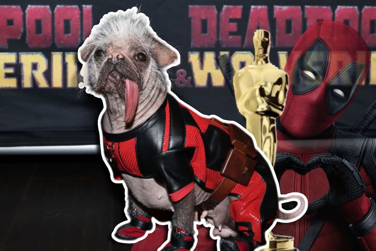 Dogpool “el perro feo” de Deadpool y Wolverine gana un Oscar canino por su actuación
