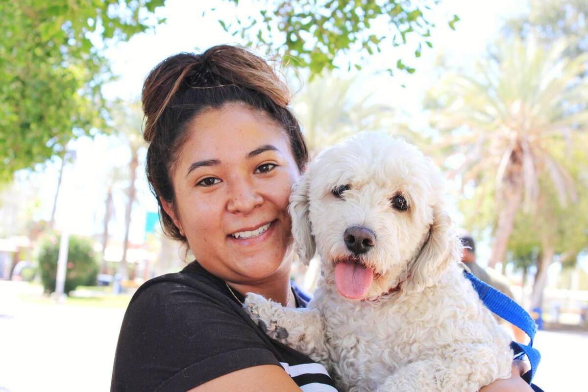Invitan a proteger a mascotas en jornada nacional de vacunación antirrábica