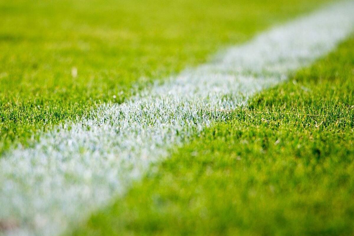 Bet365 y Caliente lideran el ranking de las casas de apuestas online más visitadas de México