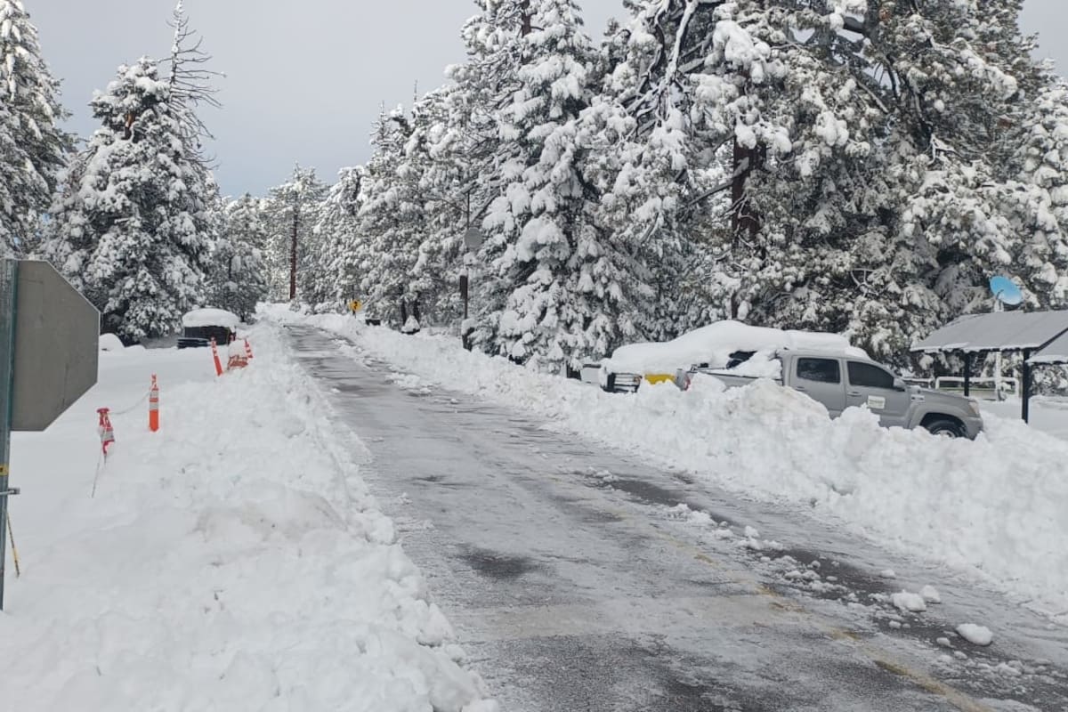 Recomiendan visitar San Pedro Mártir en vehículos en buenas condiciones