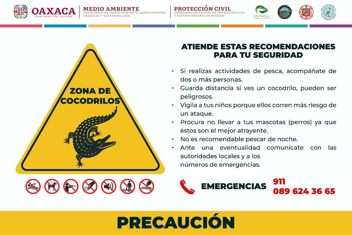 Alerta de cocodrilos. Foto: Especial