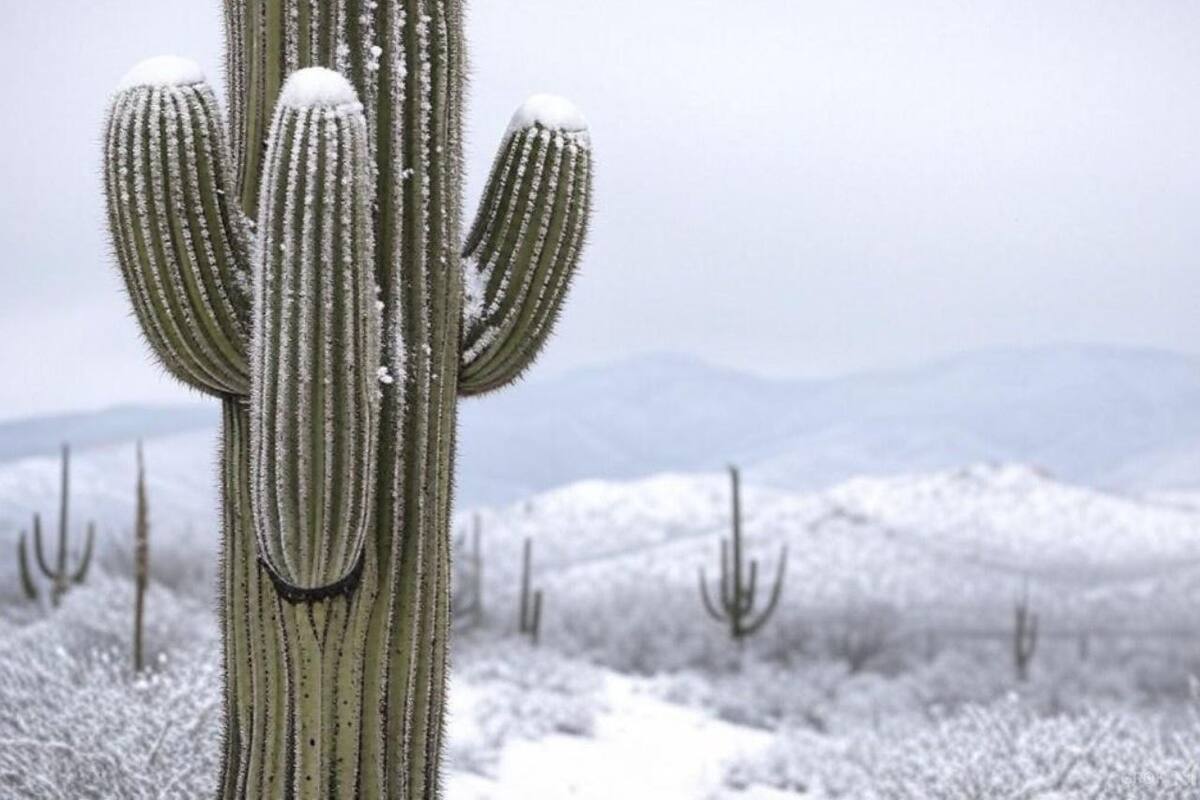 Pronostican segunda tormenta invernal en Sonora: traerá vientos fuertes y descenso de temperaturas del 7 al 9 de enero
