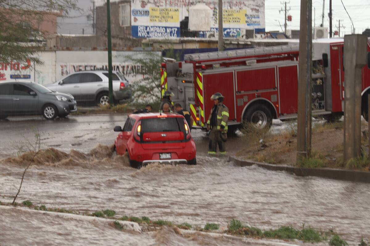 Lluvia en Hermosillo deja carros varados; reportan postes, estructuras y árboles caídos
