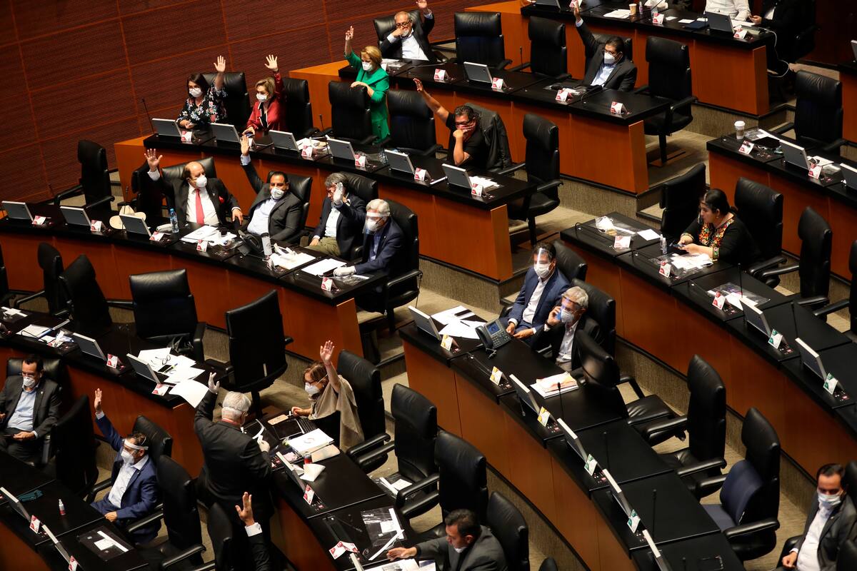 Amnistía Internacional considera simbólica e insuficiente Ley de Amnistía