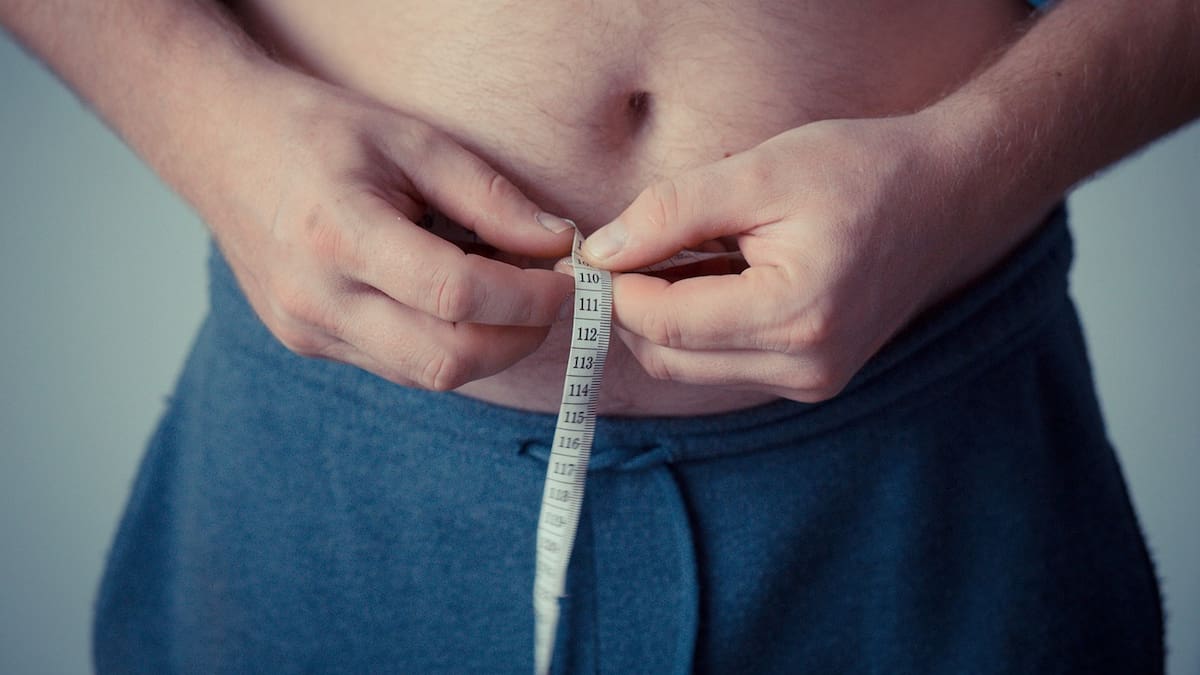 La obesidad deja una “memoria” en el sistema inmunitario que puede durar hasta 10 años después de bajar de peso, según estudio que explica por qué persiste el riesgo de diabetes, cáncer y otras enfermedades