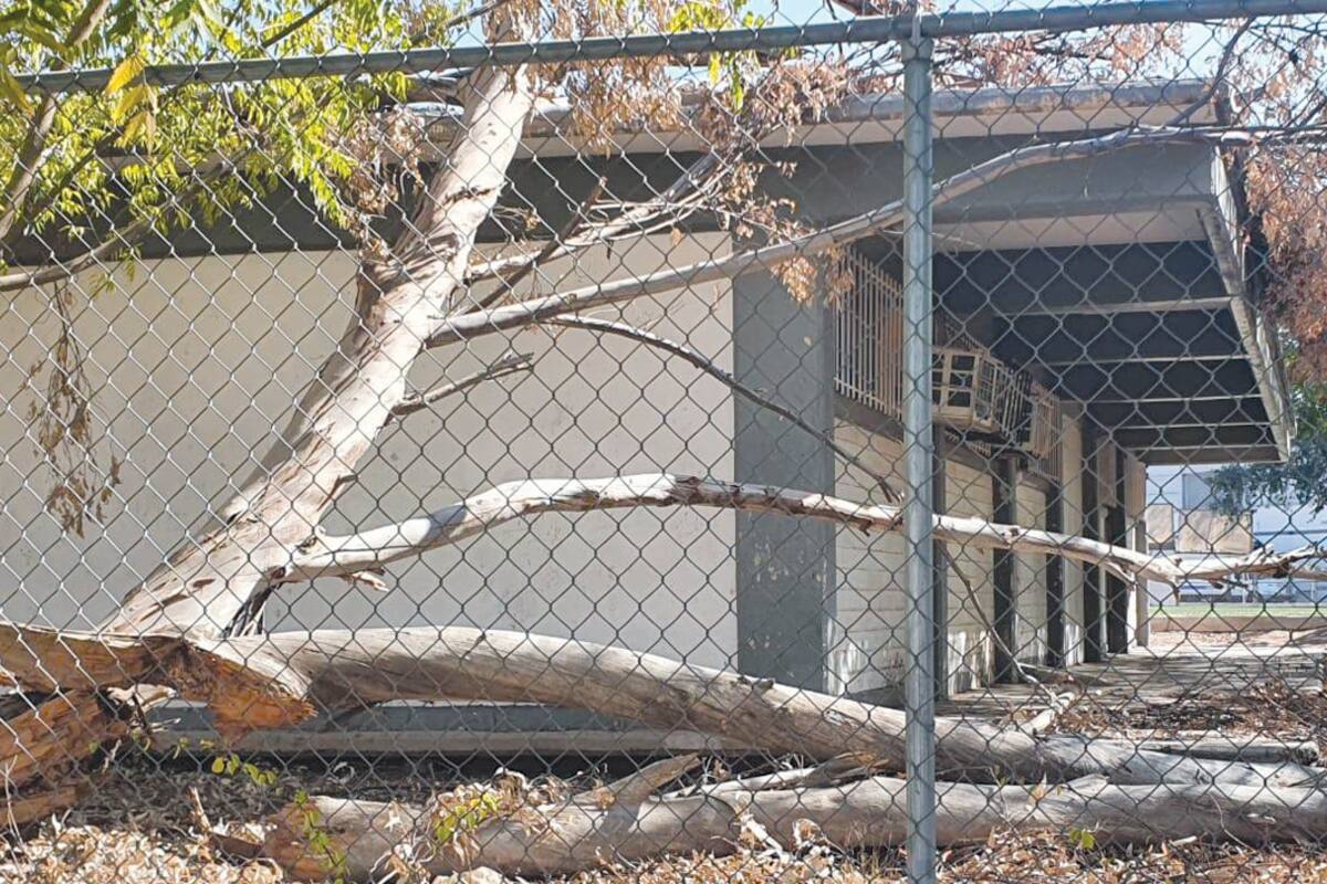 Lucen abandonadas algunas escuelas en región del Mayo