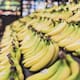 Prevén aumento en el precio del plátano para 2027