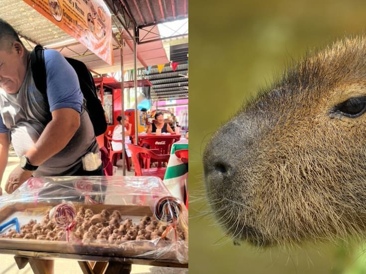 “Se ven tan lindos que no los comería”: Señor que vende turrones en forma de capibaras en Yucatán se vuelve viral