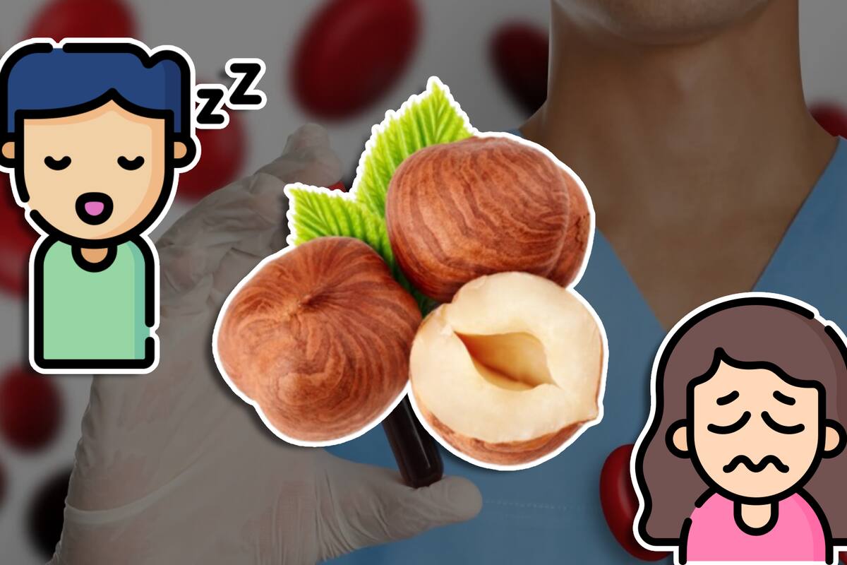 ¿Te sientes cansado? Este simple snack podría ser la respuesta a tu fatiga y anemia