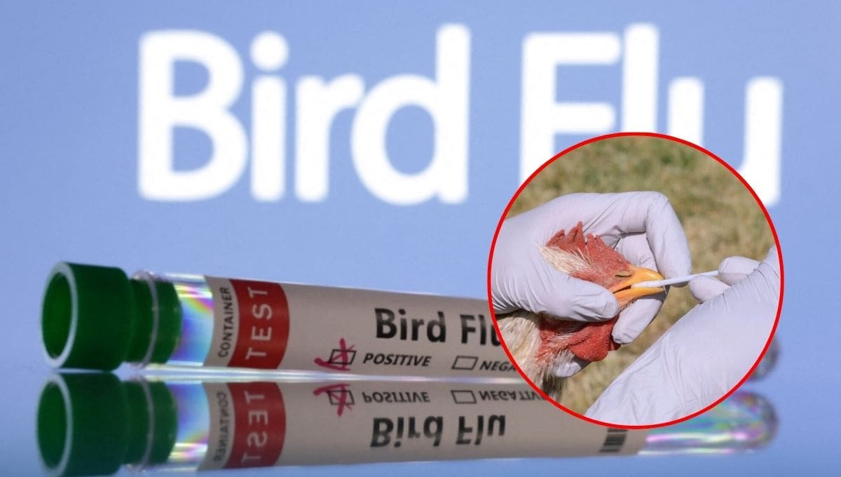Ilustración fotográfica con tubos de ensayo etiquetados como "gripe aviar". 10 junio 2024. REUTERS/Dado Ruvic