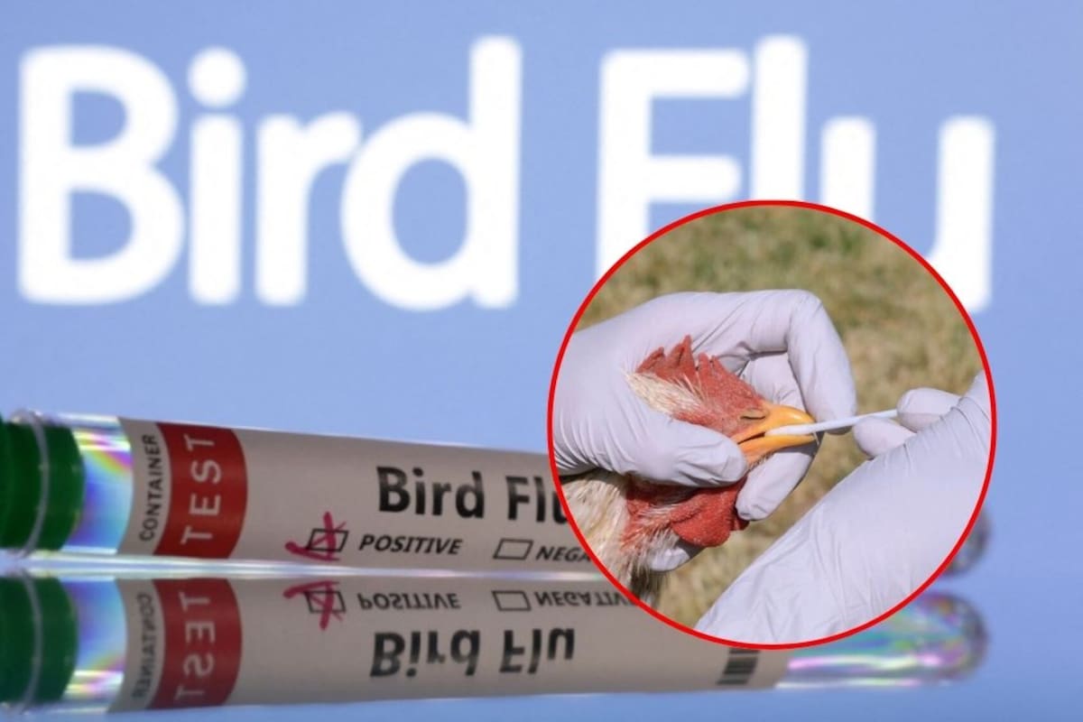 Primer caso humano de gripe aviar H5N5 en el mundo fallece; autoridades refuerzan vigilancia sanitaria