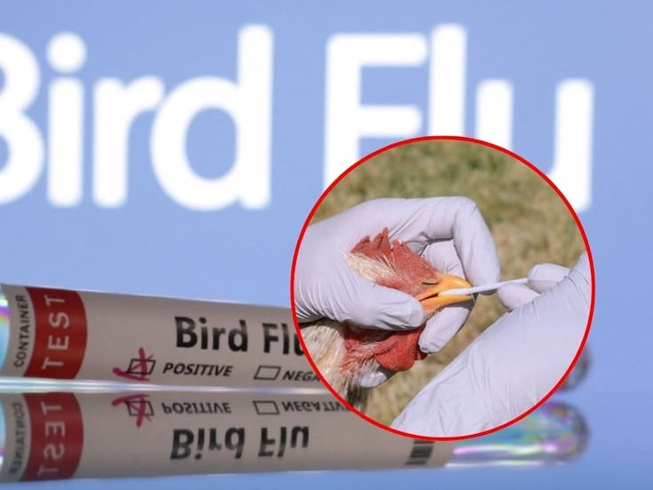 Primer caso humano de gripe aviar H5N5 en el mundo fallece; autoridades refuerzan vigilancia sanitaria