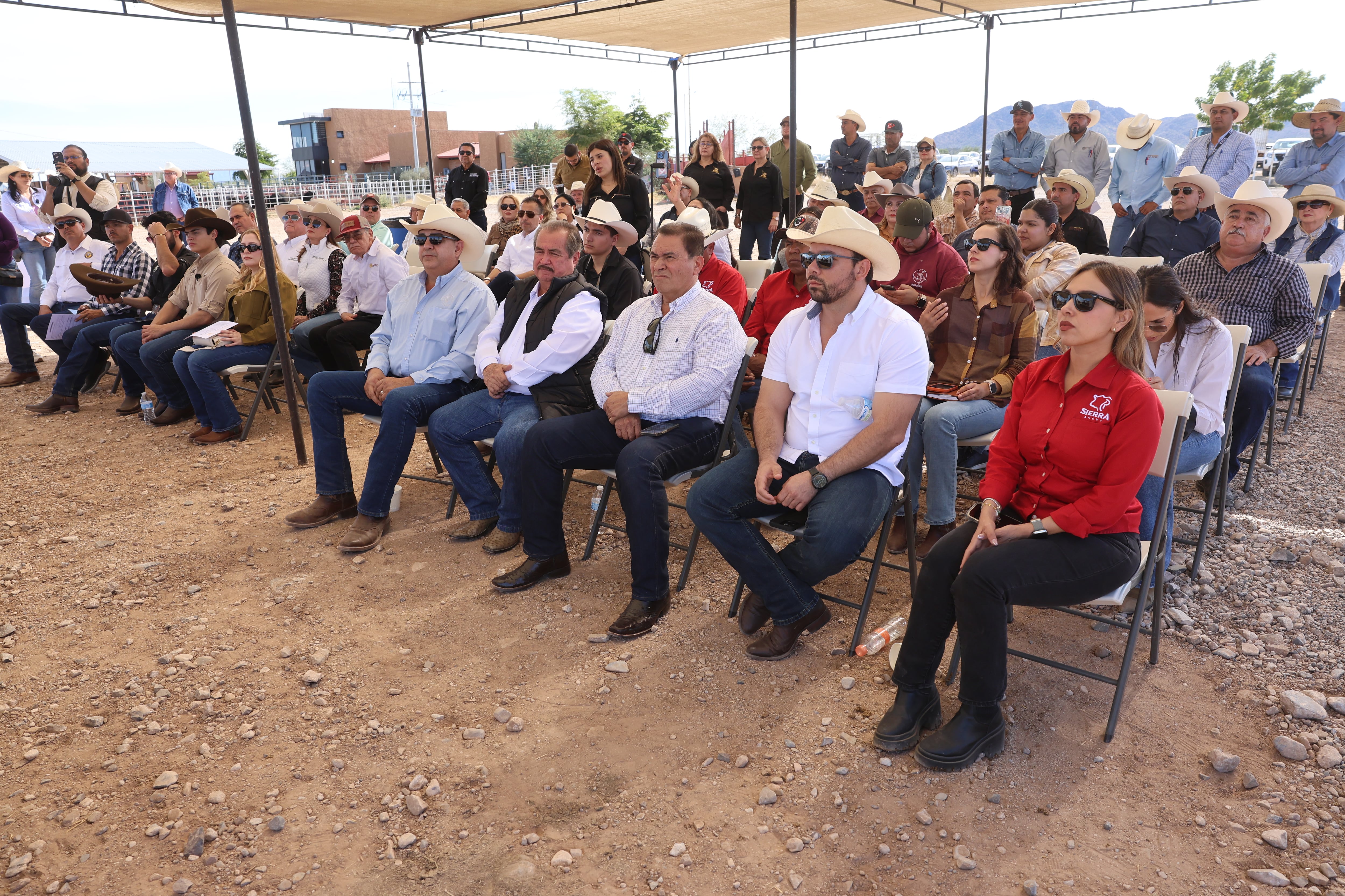 Entregan 67 sementales de registro a ganaderos; suman 250 de mil. Foto: GH