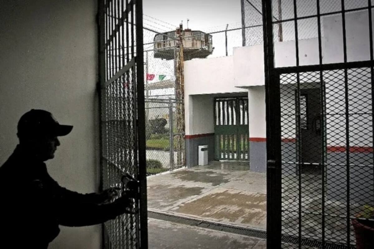 Ley de Amistía es publicada en Diario Oficial de la Federación