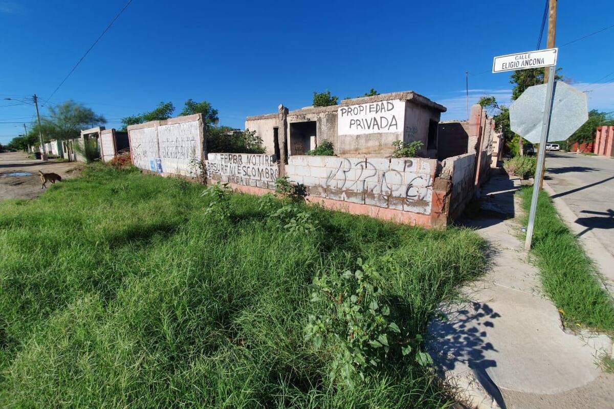 Basura y maleza "invaden" predio en la Benito Juárez