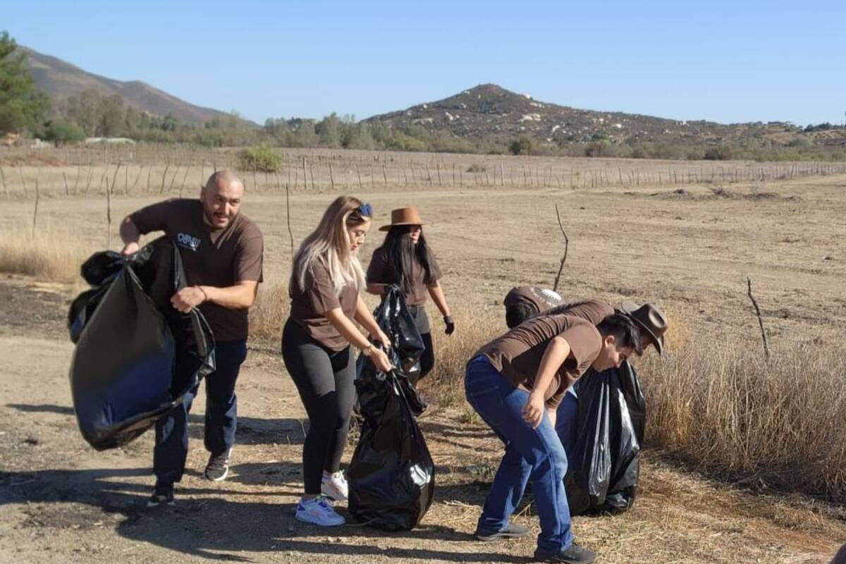 150 empresas limpian el Valle De Guadalupe