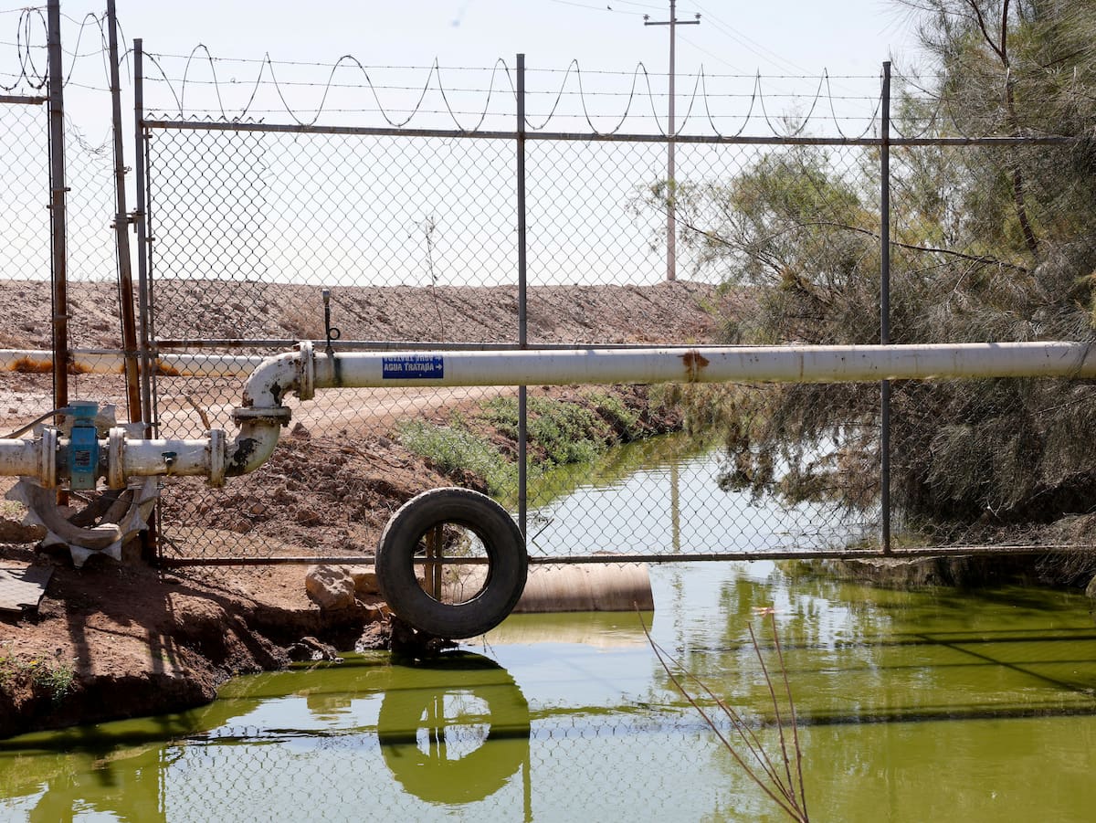 Mexicali reutiliza 6 de cada 10 litros de aguas residuales para riego, industria y medio ambiente l Foto: Juan J. Morales