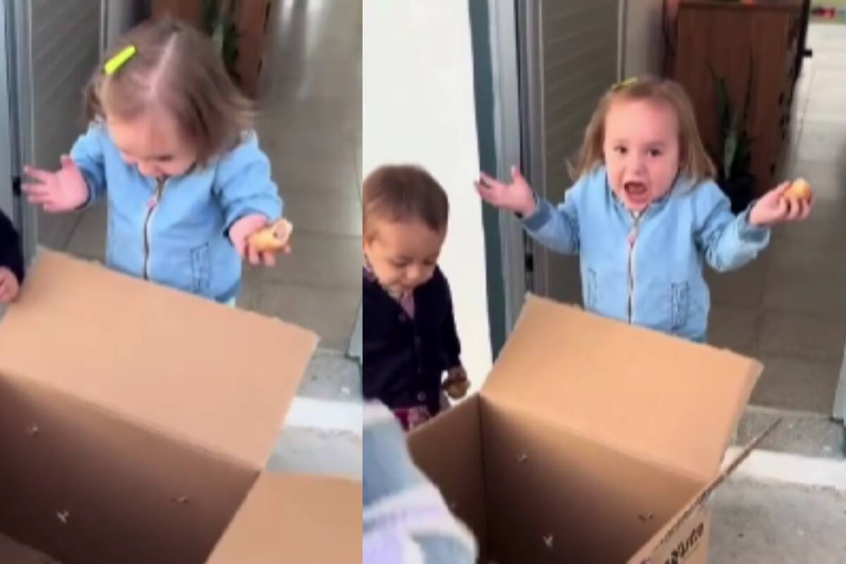 Niña pidió una gallina de juguete, pero sus familiares le regalan una de verdad: así fue su reacción