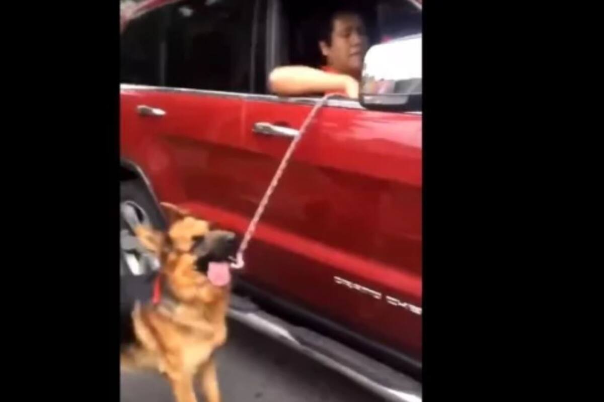 VIDEO: Hombre arrastra a perro desde su camioneta en CDMX