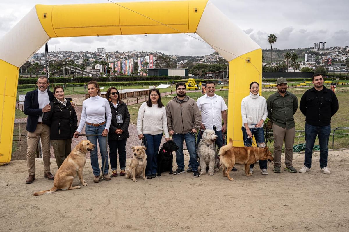 Tras un año de capacitación profesional, los caninos concluyeron el curso internacional “Perro Buen Ciudadano”, que los acredita como aptos para actividades educativas y de acompañamiento. Foto: Border Zoom
