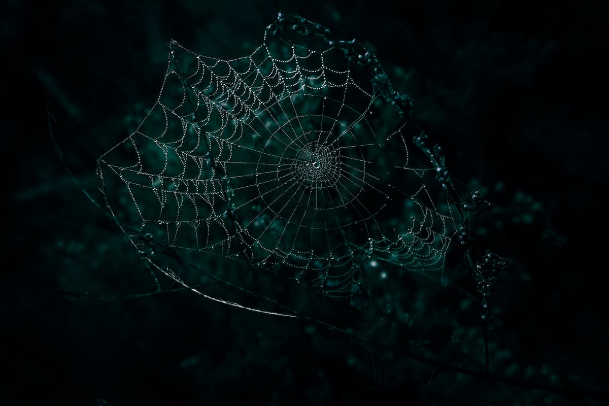¿Qué significa soñar con una telaraña? Este es el mensaje oculto de tu voz interior
