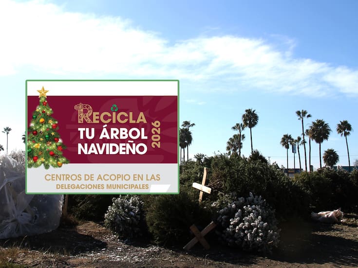 Centros de acopio para árboles de Navidad en Tijuana 2026: fechas, horarios y ubicaciones