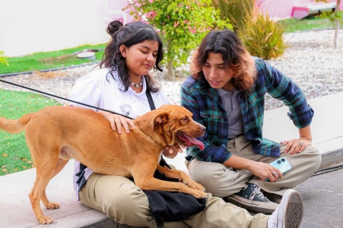 Santuario Mily ha rescatado a 486 animales desde su creación en febrero de 2024
