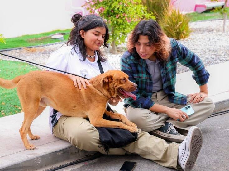 Santuario Mily ha rescatado a 486 animales desde su creación en febrero de 2024