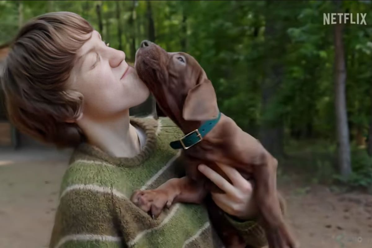 Netflix revela “Scooby-Doo: Origins”: la serie live-action que mostrará por primera vez a Scooby-Doo como un perro real