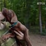 Netflix revela “Scooby-Doo: Origins”: la serie live-action que mostrará por primera vez a Scooby-Doo como un perro real