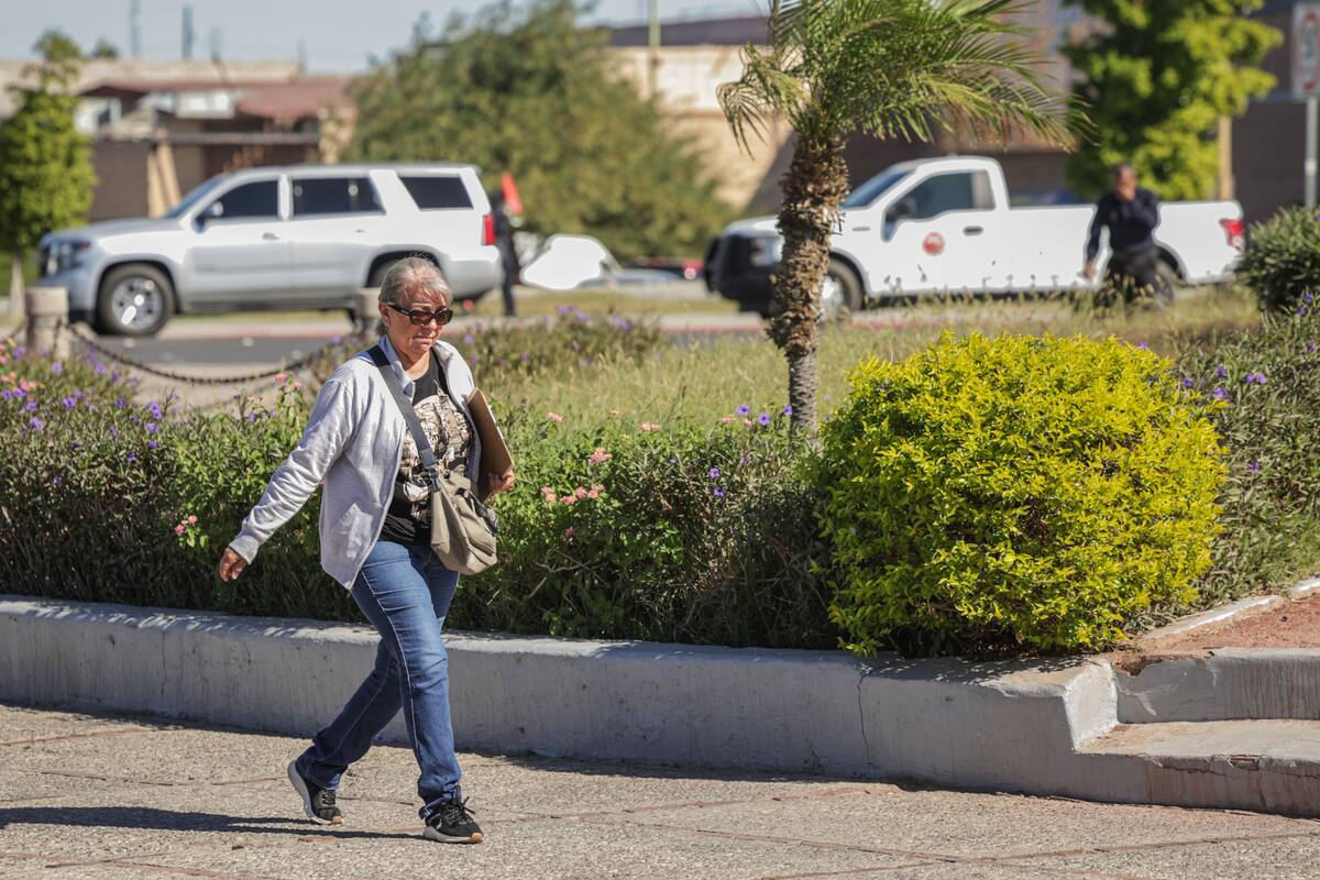 Habrá mínimas de 7 grados durante las noches de la próxima semana