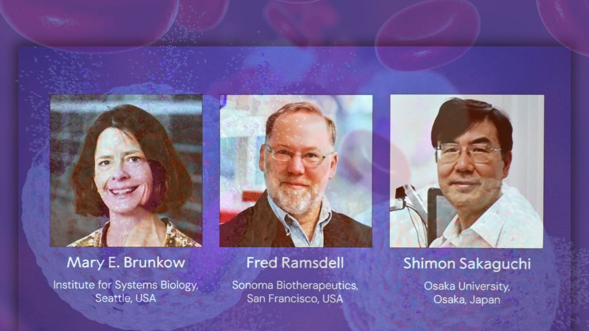Ganadores del Nobel de Medicina 2025: Científicos premiados descubrieron las células T reguladoras del sistema inmune, claves para el combate eficaz al cáncer y diabetes