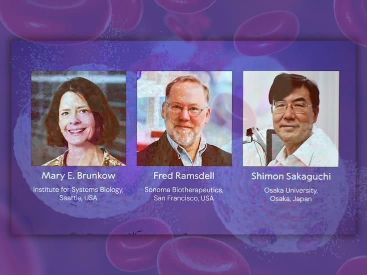 Ganadores del Nobel de Medicina 2025: Científicos premiados descubrieron las células T reguladoras del sistema inmune, claves para el combate eficaz al cáncer y diabetes
