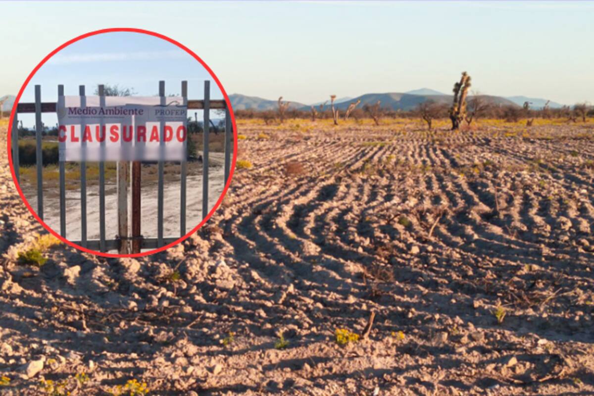 Profepa clausura dos predios en Tula, Tamaulipas: remoción ilegal de 143.5 hectáreas de matorral desértico micrófilo