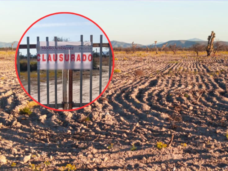 Profepa clausura dos predios en Tula, Tamaulipas: remoción ilegal de 143.5 hectáreas de matorral desértico micrófilo
