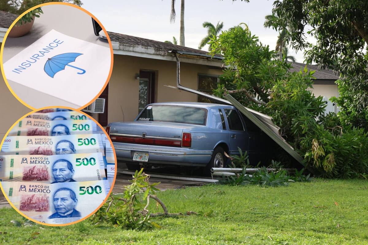 Esto podría costarle a los seguros pagar los daños por el paso del huracán Milton, en Florida