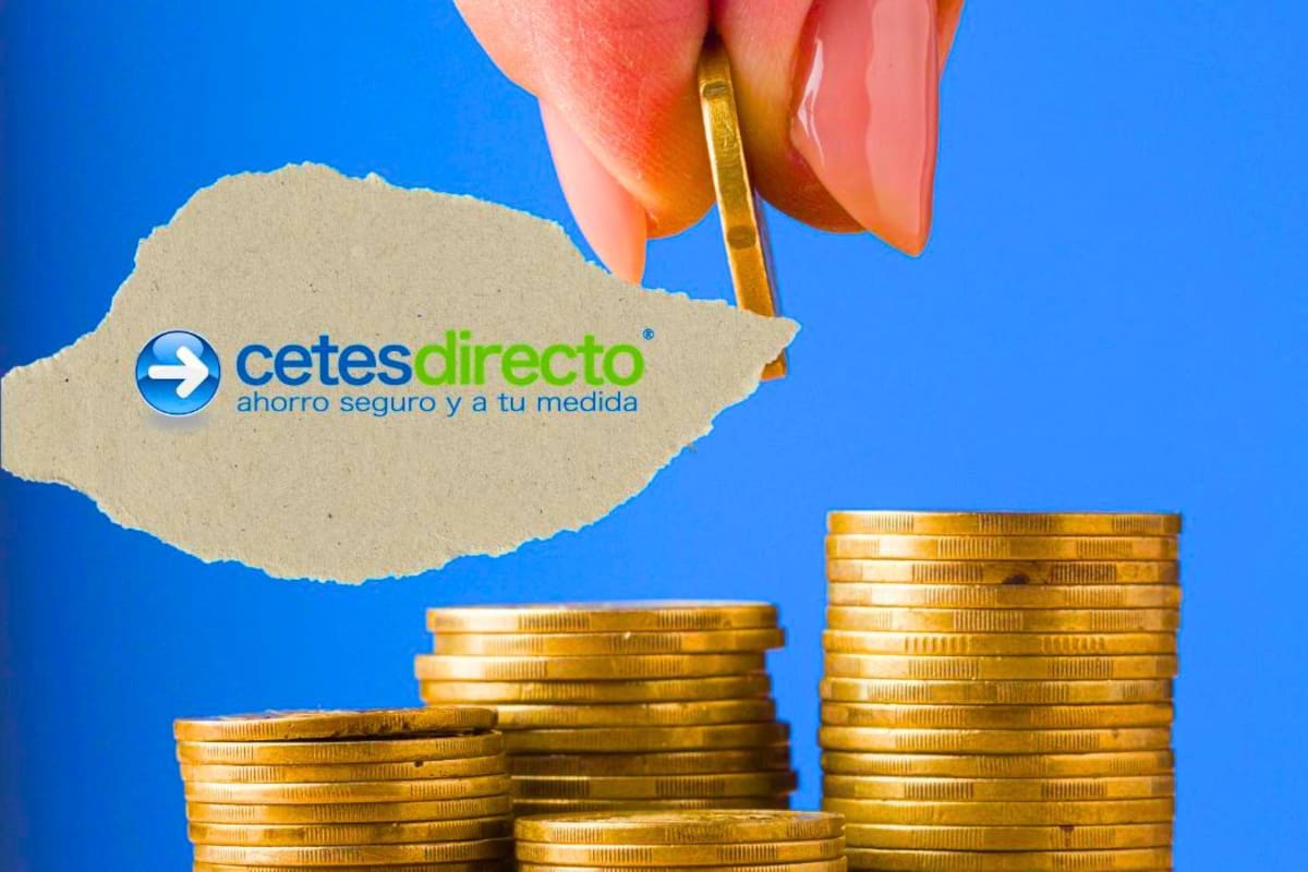 CETES: ¿Qué son y cómo puedes invertir en ellos?